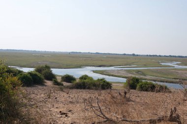 Afrika 'daki Kenya savanındaki nehir.