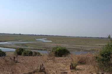 Afrika 'da Kenya kırsalında bir nehir.