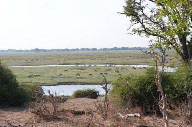 Dağlardaki nehir manzarası.