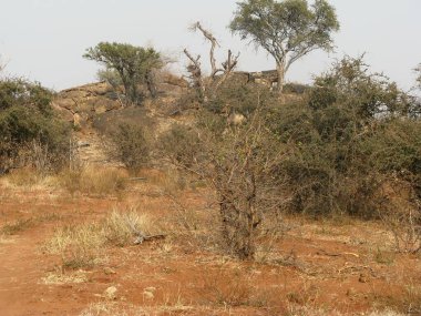 Afrika manzarası, doğa geçmişi