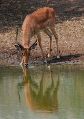 Doğanın güzel manzarası