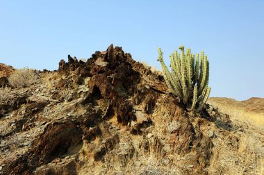 Doğanın güzel manzarası