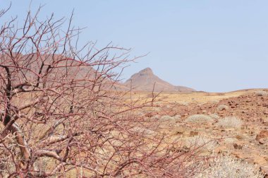 Namibya 'daki kızıl çöl