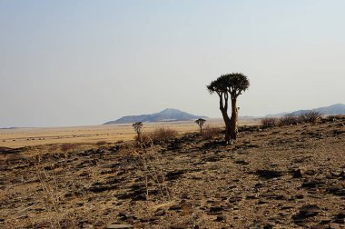 namibya, namibya, namib çölü