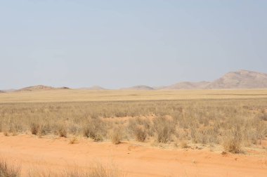 İsrail 'in kuzeyindeki Negev Çölü' nün güzel manzarası