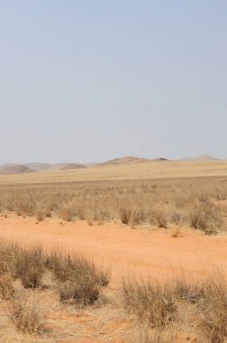 Negev Çölü, Namibya 'nın güzel manzarası