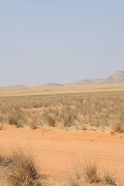 Sossusvlei Çölü