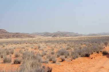 Ürdün 'deki Nev çölünün güzel manzarası