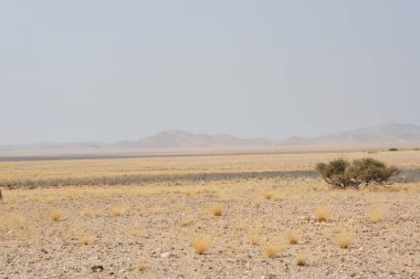 Namibya 'da güzel bir çöl manzarası