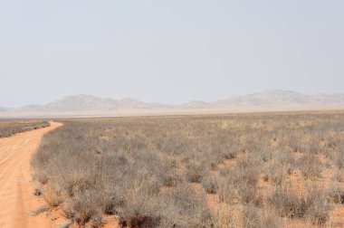 İsrail 'deki Negev Çölü manzarası