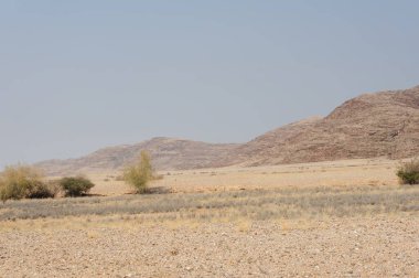 Çölün ortasındaki güzel Negev Çölü.
