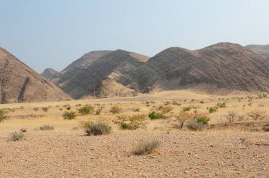 Namib Çölü 'ndeki namibya manzarası