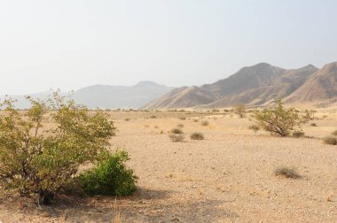 Mısır 'daki Sahara Çölü' ndeki Negev Çölü manzarası