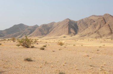 İsrail 'deki dağların ortasındaki ölü deniz vadisindeki çöl manzarası.