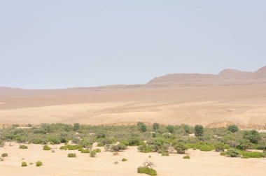 Dağlardaki Negev Çölü 'nün güzel manzarası