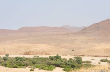 Arkasında dağlar ve çöl olan bir manzara.