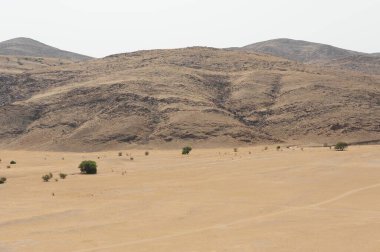 Dağın güzel manzarası ve İsrail 'in kuzeyindeki dağların ortasındaki çöl.