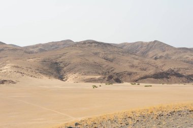 Çölün güzel manzarası