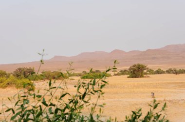 Ortadoğu 'da ağaçlarla, doğayla ve seyahat yerleriyle dolu bir manzara.