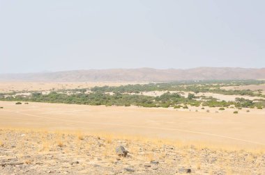 Çölün güzel manzarası