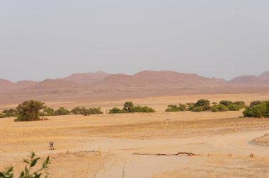 Sahara, Fas 'taki çöl manzarası.