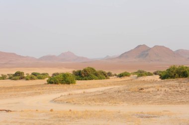 Vnegev Çölünün güzel manzarası, İsrail