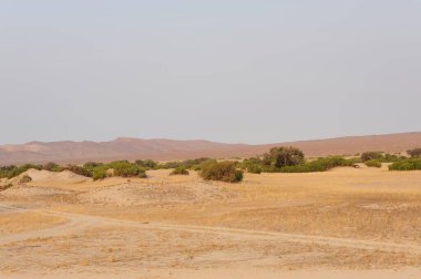 Dağların güzel manzarası