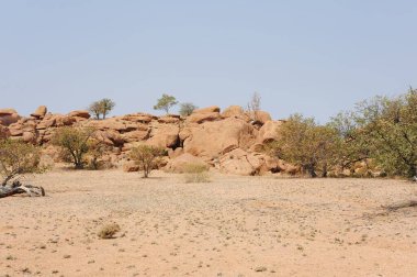 İsrail 'in kuzeyindeki Negev Çölü' nün güzel manzarası