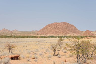İsrail 'in kuzeyindeki Negev Çölü' nün güzel manzarası