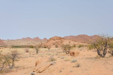 Namibya Afrika 'da manzara