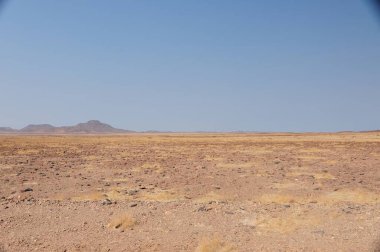 Namib Çölü 'nün manzarası, Namibya. yüksek kaliteli fotoğraf