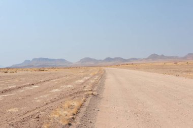 Güney Afrika topraklarında ve doğada