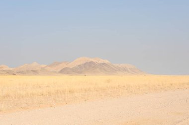 İsrail 'in kuzeyindeki Negev Çölü' nün güzel manzarası