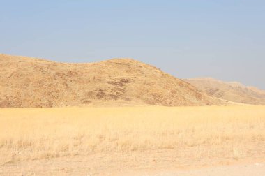 İsrail 'in Negev eyaletinin vadisinde güzel bir manzara