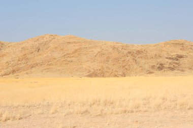 Arkasında bir dağ olan güzel bir manzara.