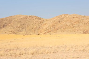 Kuru çimenler ve mavi gökyüzü