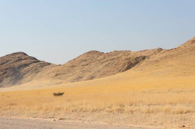 Büyük bir ağacı olan güzel bir manzara.