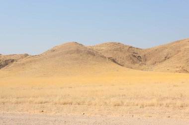Çölde bir ağacı olan güzel bir manzara.