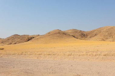 Ağaçlar ve mavi gökyüzü olan güzel bir manzara.