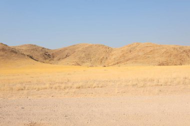 Sahara 'nın dağlarındaki güzel manzara