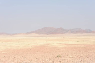 İsrail 'in kuzeyindeki Negev Çölü' nün güzel manzarası