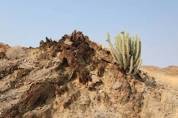 manzara, dağ ve doğa Şili 'de