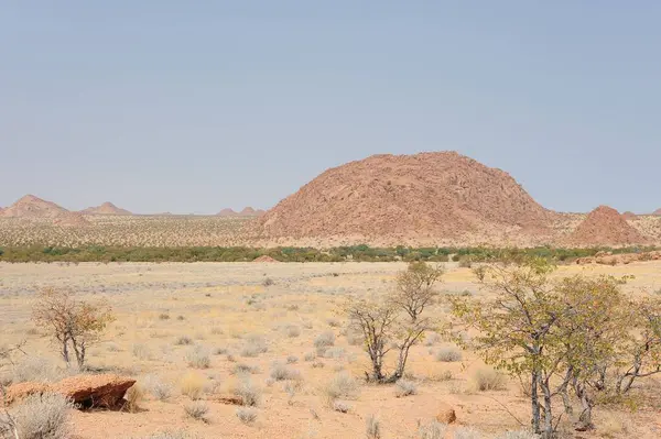 İsrail 'in kuzeyindeki Negev Çölü' nün güzel manzarası