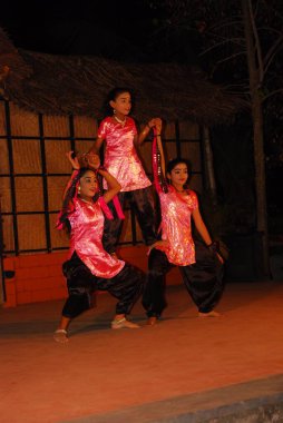 Geleneksel dansçı grubu