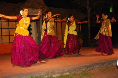 Geleneksel Hint kostümlü dansçılar