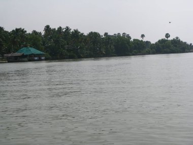 Sabahları gölün güzel manzarası