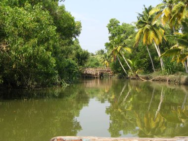 Gökyüzünün altında ağaçlarla çevrili güzel bir göl manzarası.
