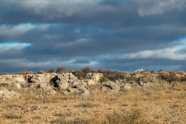 Çölde bir çöl manzarası