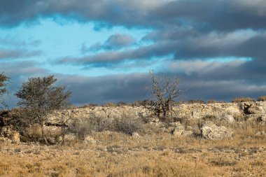 İsrail 'deki ölü çölün manzarası
