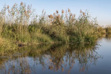 Nehir ve gölü olan güzel bir manzara.